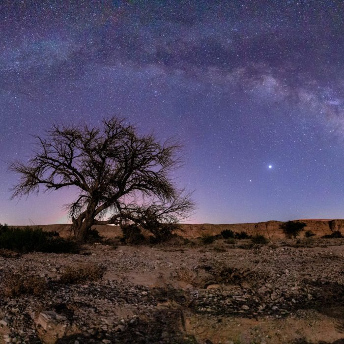 FJ3A2106-Pano-Edit-Edit-2