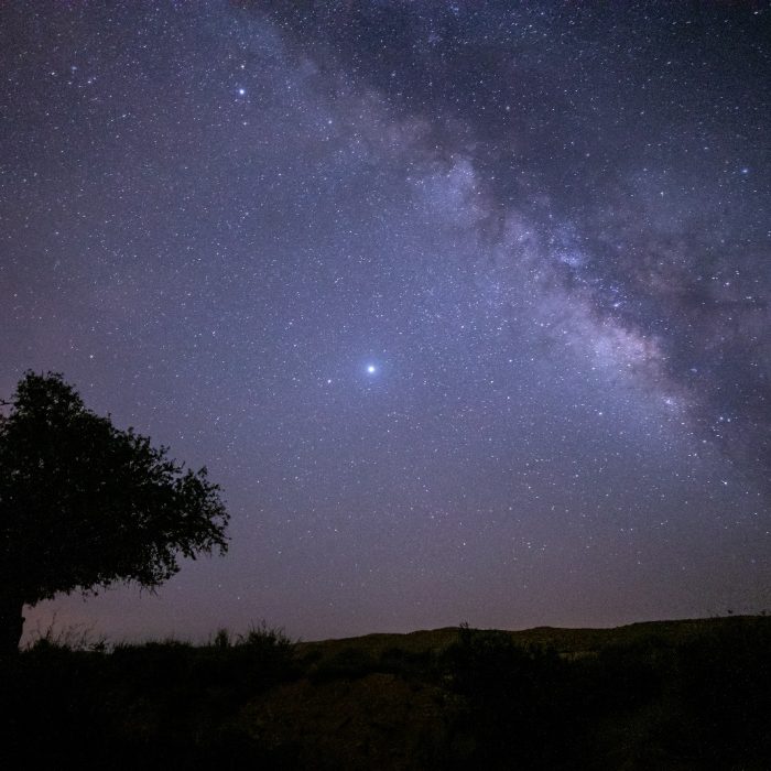 صورة واتساب بتاريخ 2025-04-18 في 22.16.32_3d1cf31a